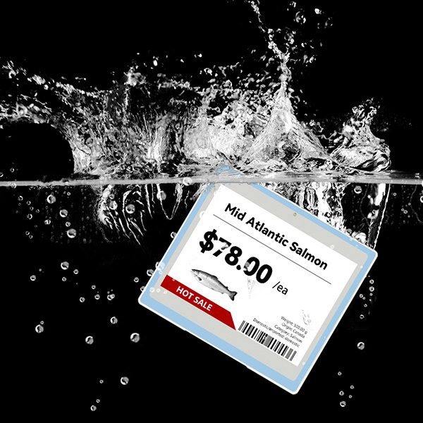 4,2 Zoll wasserdichtes elektronisches Preisschild